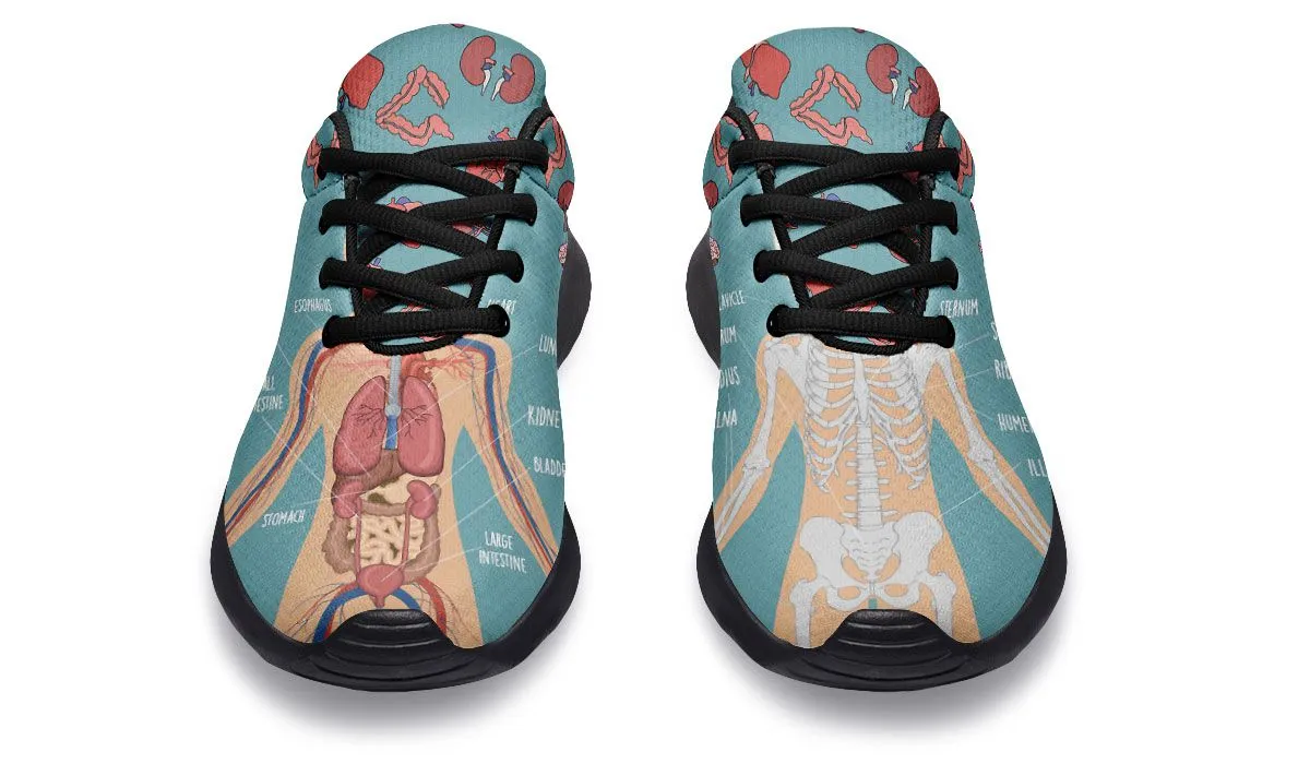 Anatomy Sneakers