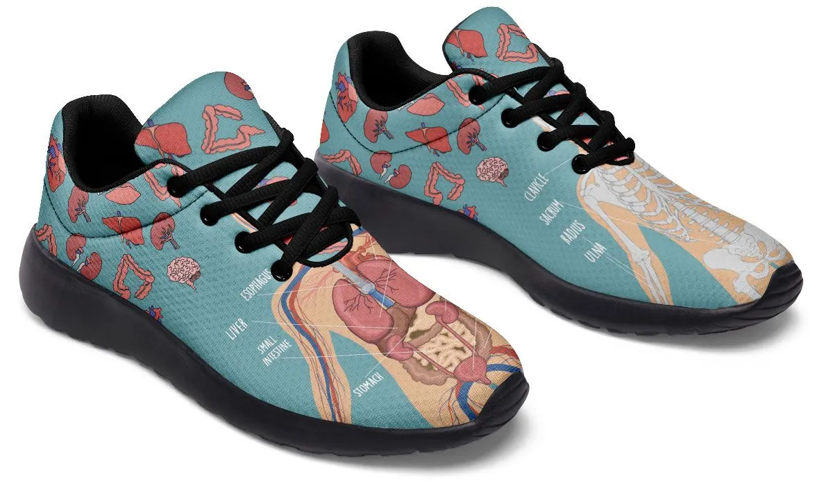 Anatomy Sneakers