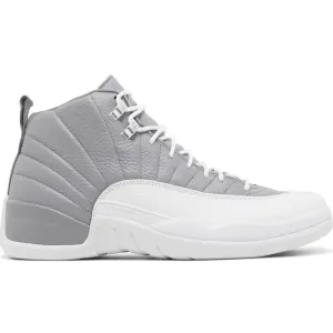 Jordan 12 'Stealth'